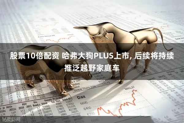 股票10倍配资 哈弗大狗PLUS上市, 后续将持续推泛越野家庭车